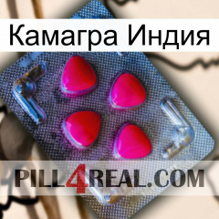 Камагра Индия 13